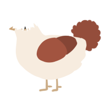 A cream and russet chicken
