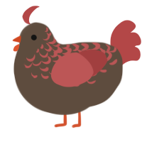 A bark and red chicken with a half-lace pattern