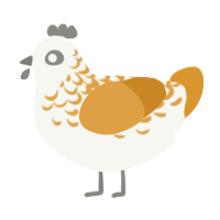 Quiche, a white and orange chicken with a half-lace pattern