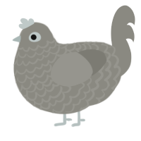 Dustbunny, a ash chicken with a lace pattern