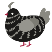 A sable and ash chicken with a bar pattern