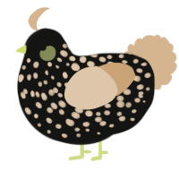 A black and beige chicken with a speckle pattern