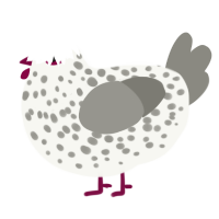 A white and ash chicken with a speckle pattern