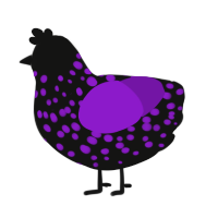 A black and violet chicken with a speckle pattern