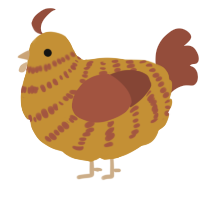 A gold and russet chicken with a bar pattern