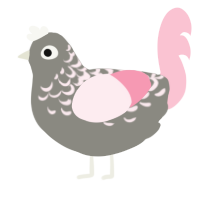 Clam Shell, a ash and rose chicken with a half-lace pattern