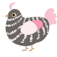 A grey and rose chicken with a bar pattern