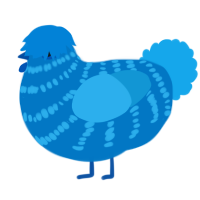 A sapphire and sky chicken with a bar pattern