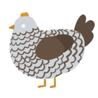 A mist and bark chicken with a lace pattern