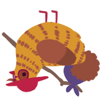 A orange and russet chicken with a bar pattern