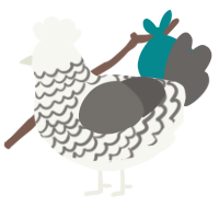 A white and grey chicken with a lace pattern