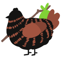 A black and russet chicken with a bar pattern