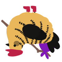 A honey and black chicken with a half-bar pattern