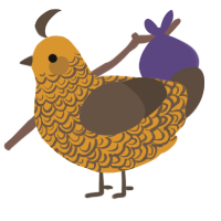 A orange and bark chicken with a double-lace pattern