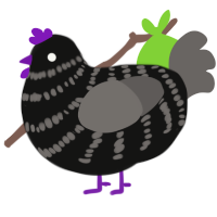 Fig, a black and grey chicken with a bar pattern