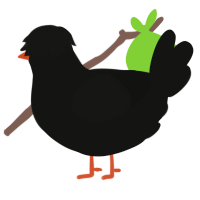 A black chicken