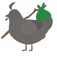 A grey chicken with a double-lace pattern