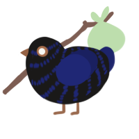 A sable and navy chicken with a bar pattern