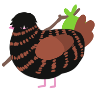 Double choc, a black and russet chicken with a bar pattern