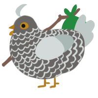 Blanche, a grey and silver chicken with a lace pattern