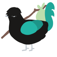 Gem Silica, a sable and turquoise chicken