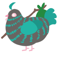 Samsara, a grey and turquoise chicken with a bar pattern
