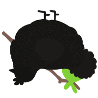 Centaurus A, a black and sable chicken with a double-lace pattern
