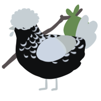 Black Rose Immortal, a black and white chicken with a half-lace pattern