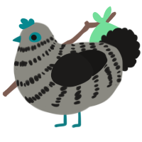 (unnamed), a ash and sable chicken with a bar pattern