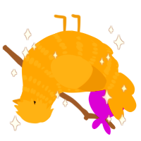 Lucky Chook, a gold chicken with a bar pattern