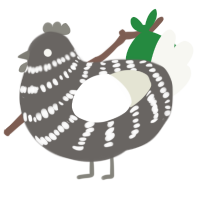 Vanulla, a grey and white chicken with a bar pattern