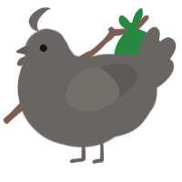 basalt, a grey chicken