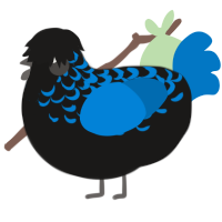 Trauma, a sable and sapphire chicken with a half-lace pattern