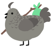 Ash, a ash and grey chicken with a half-lace pattern