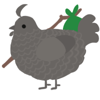 lead, a grey chicken with a lace pattern