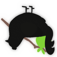 Jillian, a black chicken with a lace pattern
