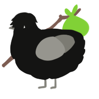 Silv sheen Obsidian, a black and ash chicken