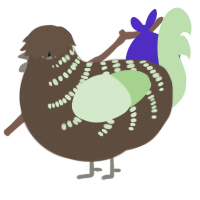 Kiwi, a bark and gluppy chicken with a half-bar pattern
