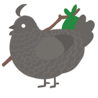 torch, a grey chicken with a lace pattern