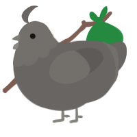 rock, a grey chicken with a head pattern