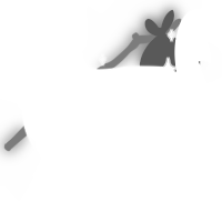 Saint, a white chicken