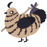 Gravity Kills, a vermilion and tumblr chicken with a bar pattern
