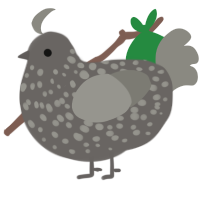 Koishi - xyx, a grey and ash chicken with a speckle pattern