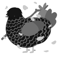 me if i was chicken, a black and grey chicken with a lace pattern