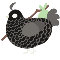 (unnamed), a sable and grey chicken with a lace pattern