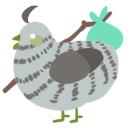 (unnamed), a silver and grey chicken with a bar pattern