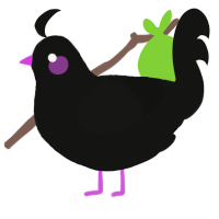 Cali, a black chicken with a double-lace pattern