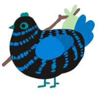 Benthic, a sable and sapphire chicken with a bar pattern