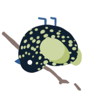 failed maf 18, a tumblr and lime chicken with a speckle pattern