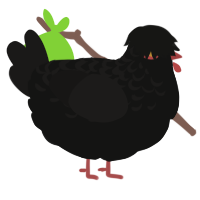Champion, a black and sable chicken with a half-lace pattern